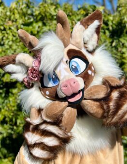 premade-cfz-2